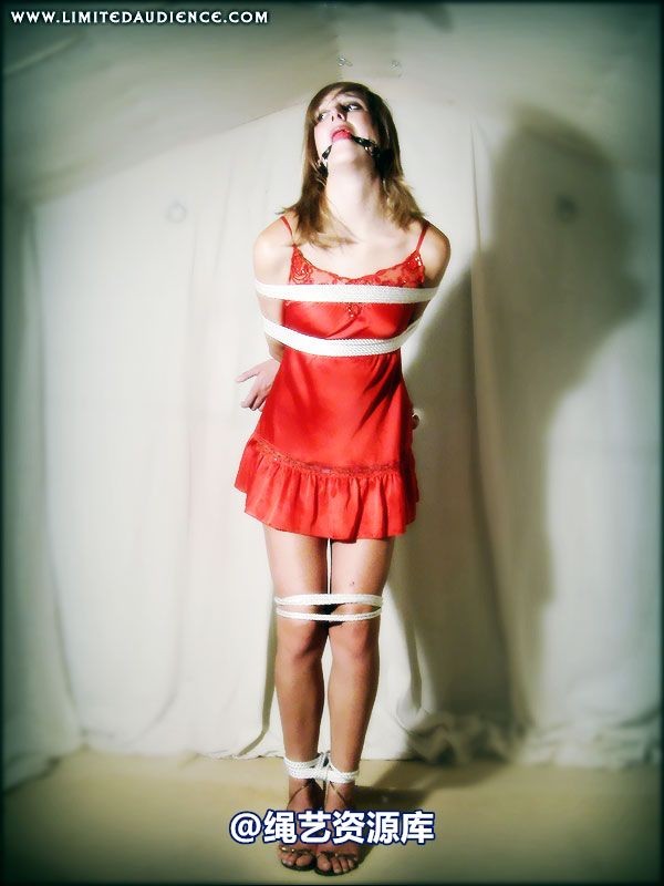 limitedaudience - 2007 ariel gradual restraints 第 39 张图片
