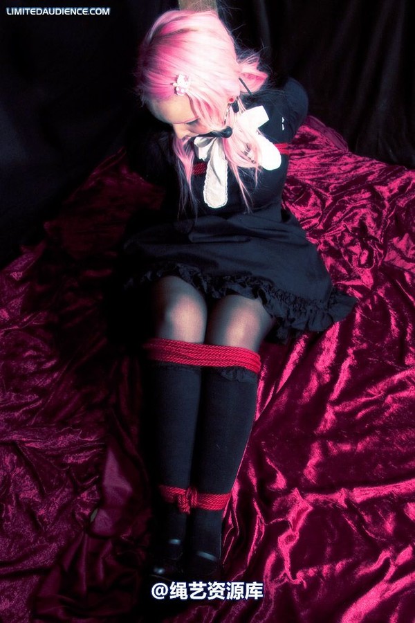 limitedaudience - 2009 assisted suicide taken 第 2 张图片