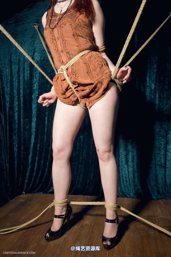limitedaudience - 2012 syrah lee rope web 第 22 张图片