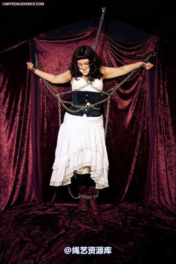 limitedaudience - 2008 veriddian chains on velvet 2 第 3 张图片