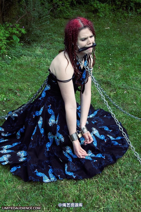 limitedaudience - 2010 beckykat chained and staked 第 26 张图片