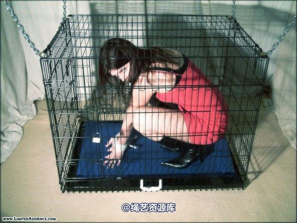limitedaudience - 2007 scarlett tied and caged 第 6 张图片