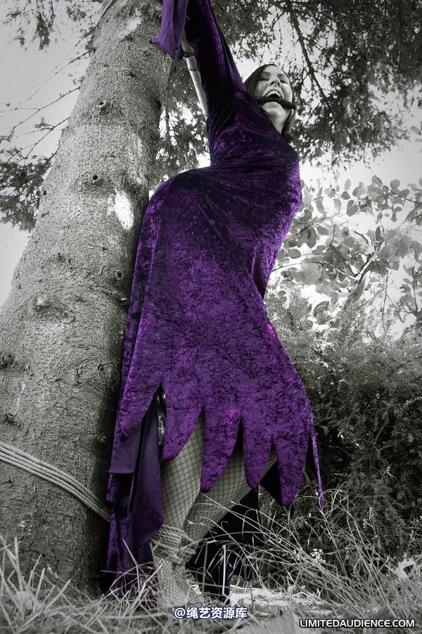 limitedaudience - 2011 carmina unwilling offering 2 第 7 张图片