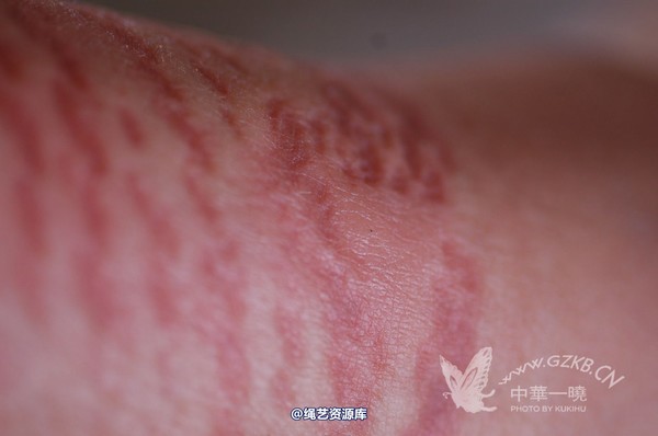 中华一晓 - 中华一晓 NO.0144 第 22 张图片