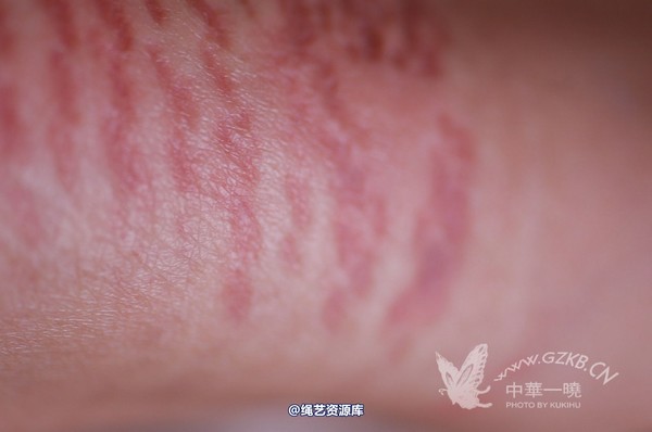 中华一晓 - 中华一晓 NO.0144 第 23 张图片