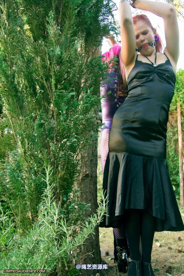 limitedaudience - 2011 beckykat loltaru chained tree seesaw 第 32 张图片