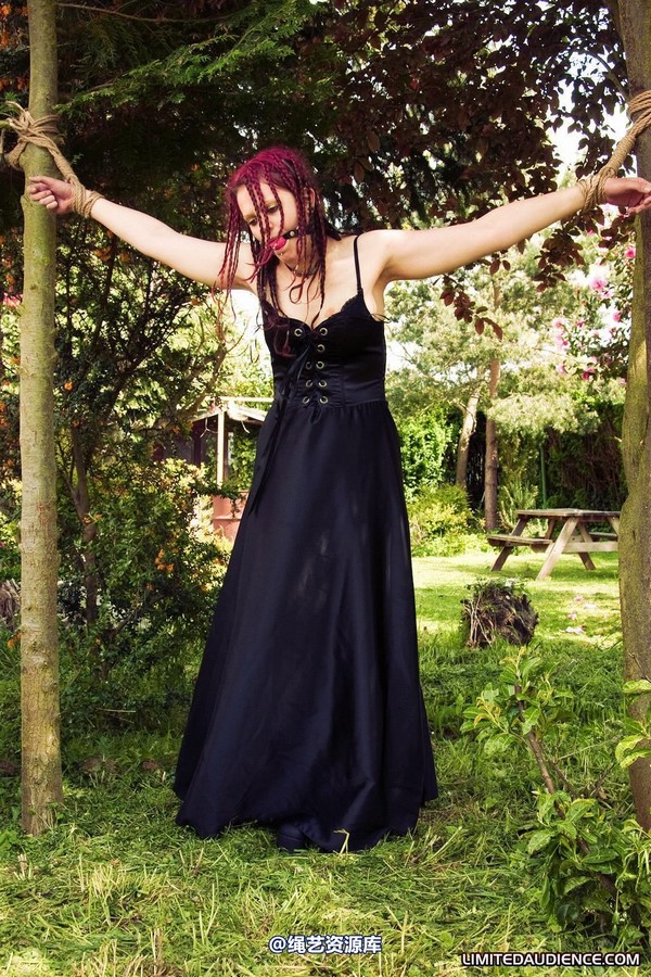 limitedaudience - 2010 beckykat between trees 第 36 张图片