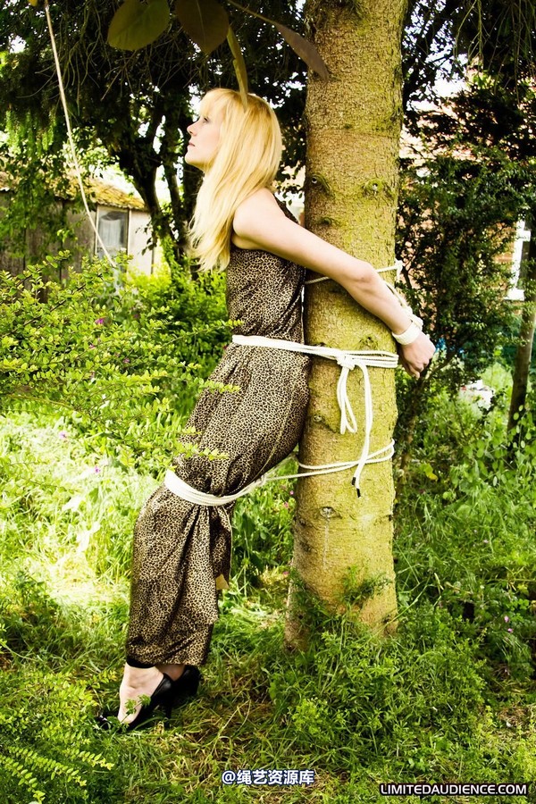 limitedaudience - 2011 ariel tied to a tree 2 第 8 张图片