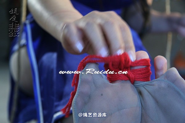 锐度主张 - 泡泡、孔雀谁坐老虎凳？ 第 110 张图片