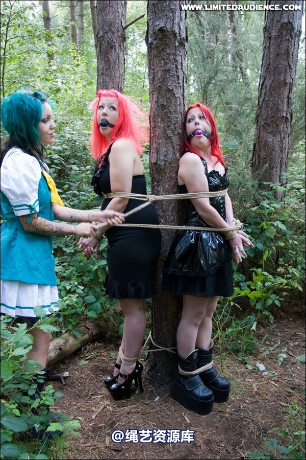 limitedaudience - 2007 asphyxia b nattsuko lost in the woods 第 44 张图片