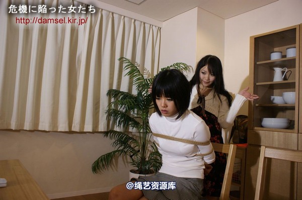 jpdamsel - 20120115 もし泥棒に�uわれたら 第 23 张图片