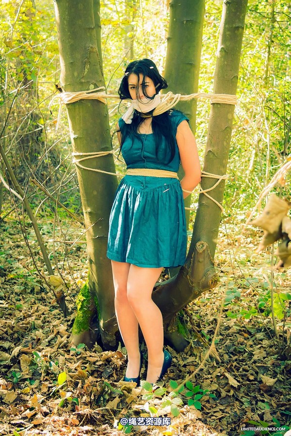 limitedaudience - 2014 stacey von in the forest 第 7 张图片