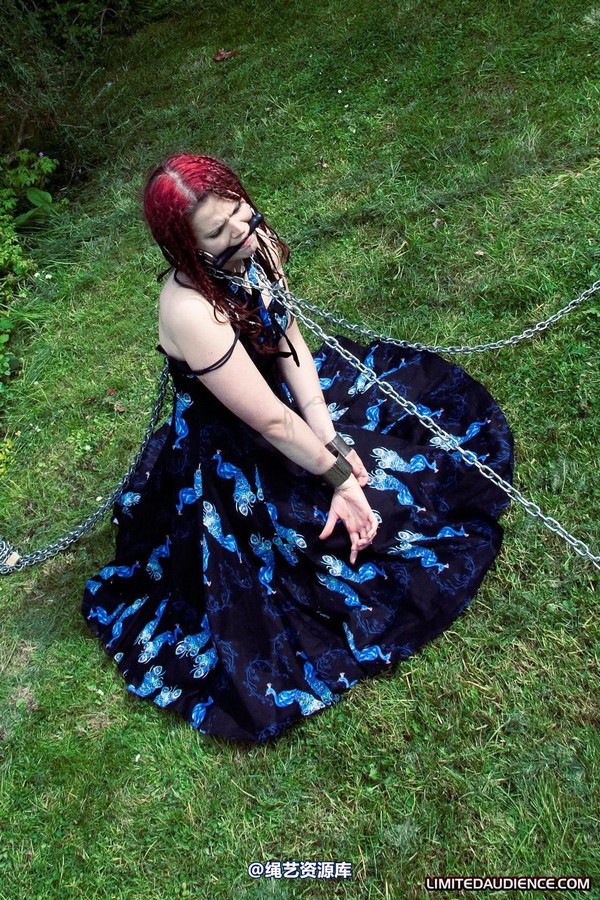 limitedaudience - 2010 beckykat chained and staked 第 17 张图片