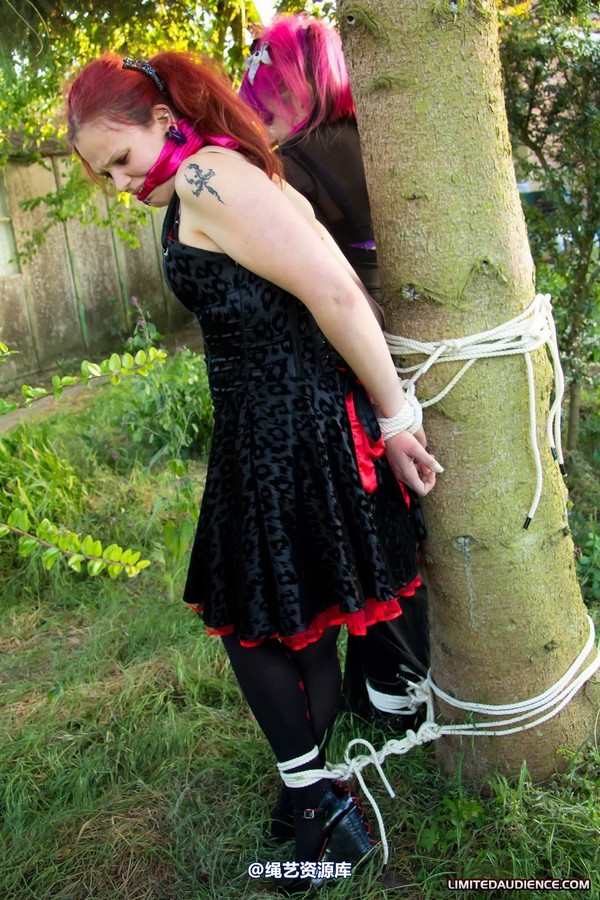 limitedaudience - 2011 beckykat loltaru moored to tree 第 8 张图片