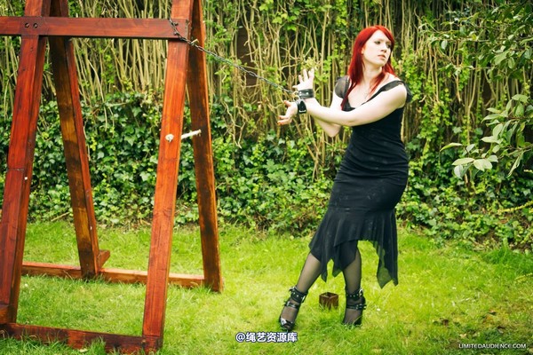 limitedaudience - 2012 syrah lee by the cross 第 17 张图片