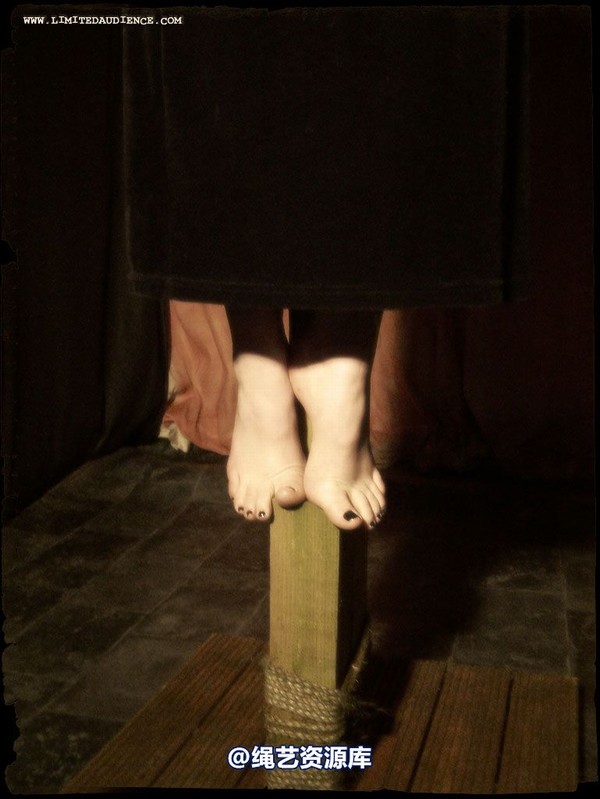 limitedaudience - 2007 ivory tied on tiptoes 第 14 张图片