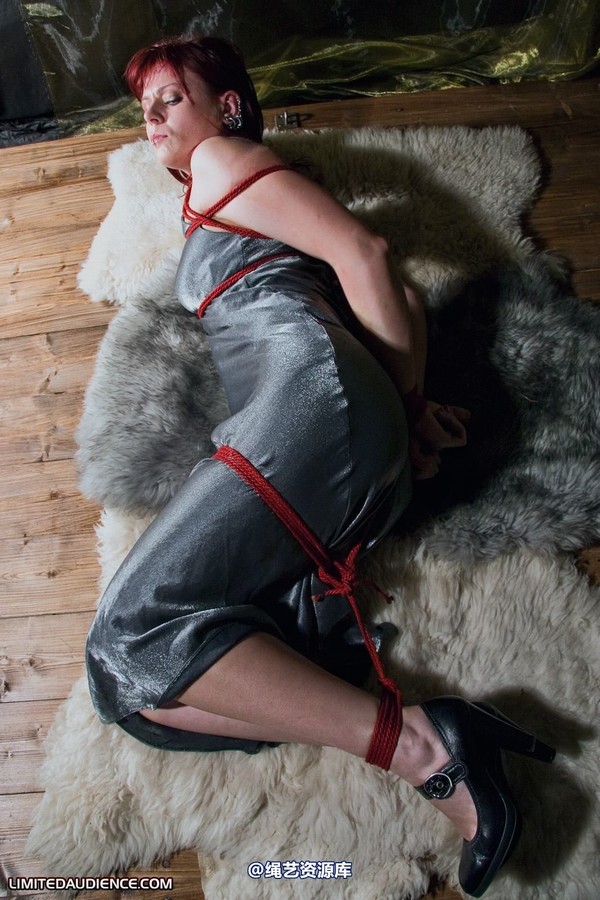 limitedaudience - 2010 scarlett hogtied on rugs 第 26 张图片