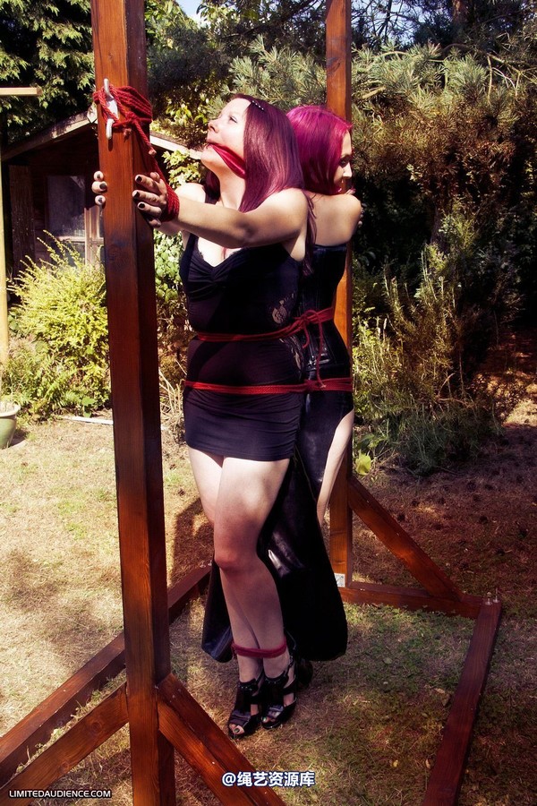 limitedaudience - 2012 elyssia violet reign two for one 3 第 1 张图片