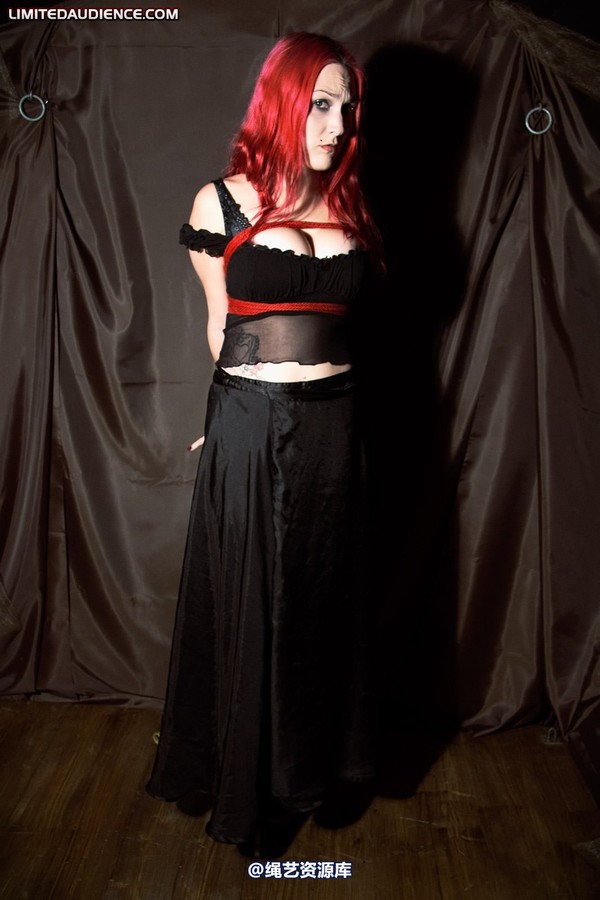 limitedaudience - 2010 elyssia bound to a pole 第 1 张图片