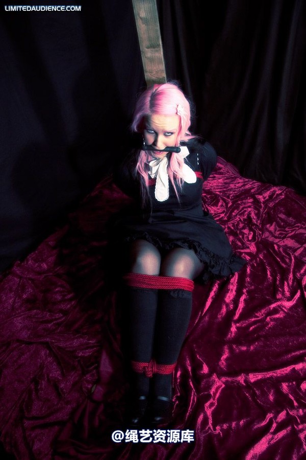 limitedaudience - 2009 assisted suicide taken 第 31 张图片