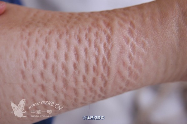 中华一晓 - 中华一晓 NO.0118 第 192 张图片