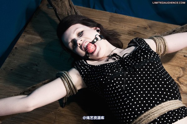 limitedaudience - 2010 luisa helpless to resist 第 16 张图片