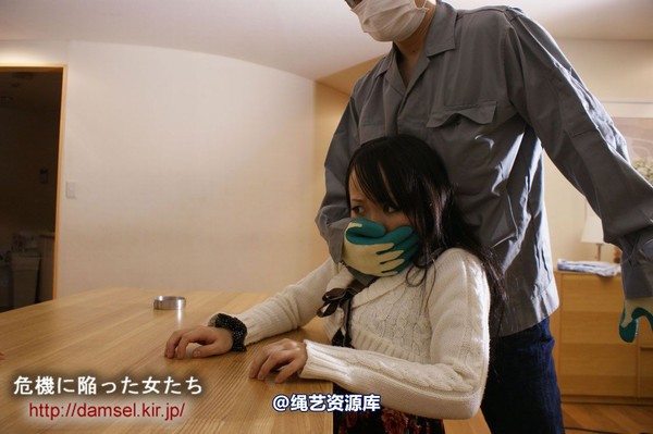 jpdamsel - 20120115 もし泥棒に�uわれたら 第 4 张图片