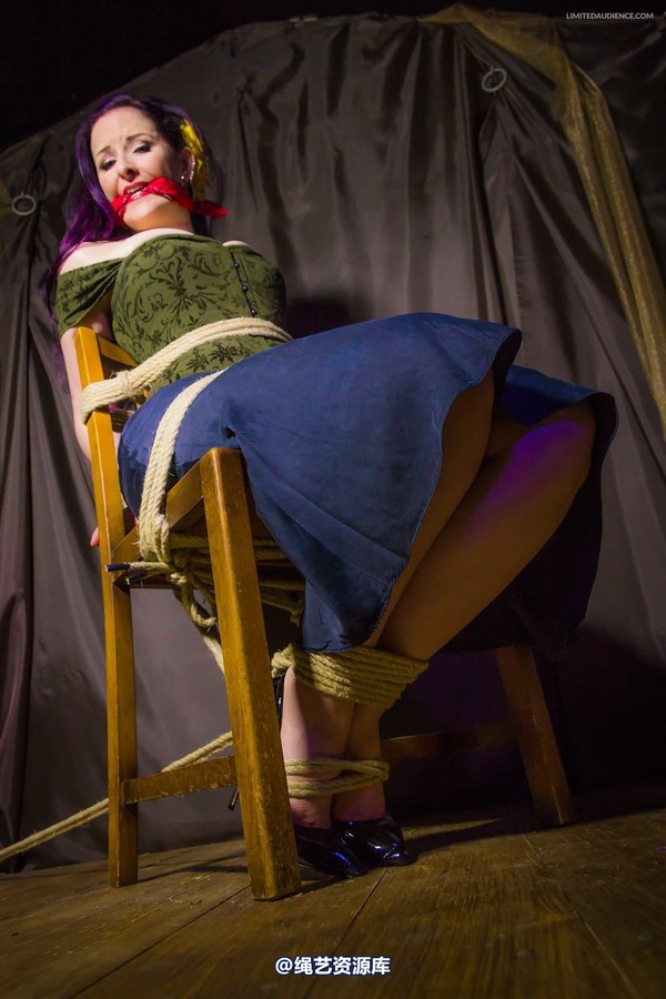 limitedaudience - 2014 caroline pierce captured damsel 第 16 张图片
