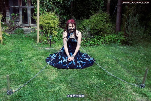 limitedaudience - 2010 beckykat chained and staked 第 1 张图片