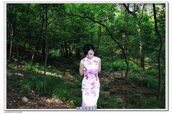 神艺缘 - 293-树林里的旗袍少女 第 37 张图片