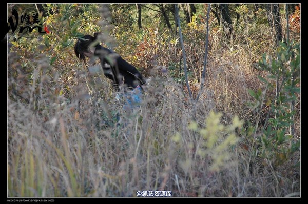 唯美之家 - 2008-11-27萧雅 第 44 张图片