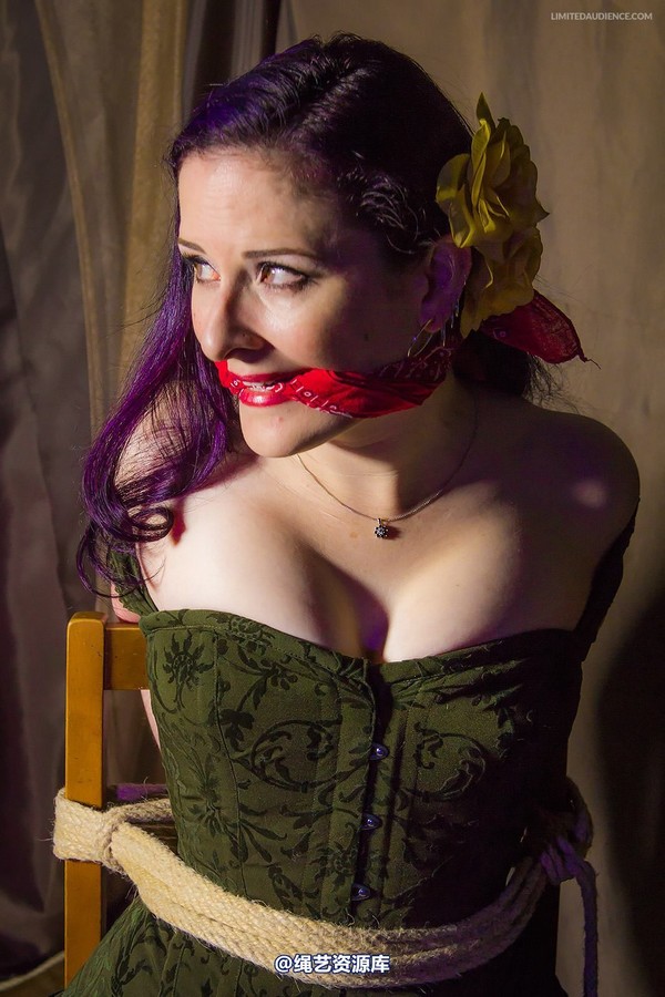 limitedaudience - 2014 caroline pierce captured damsel 2 第 16 张图片