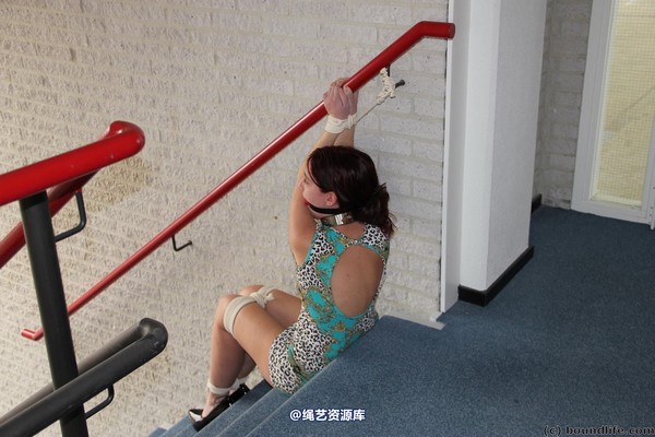 boundlife - bl316 第 20 张图片