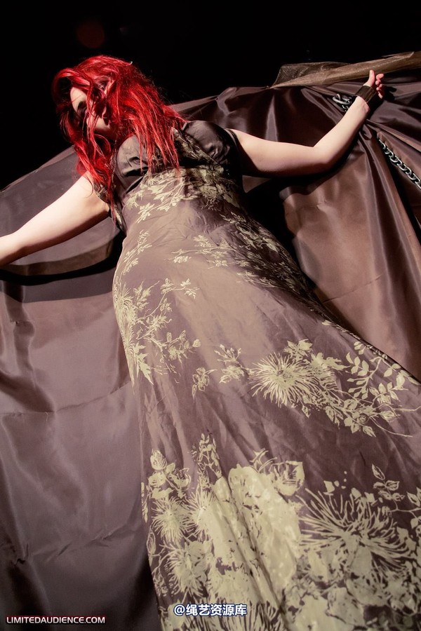 limitedaudience - 2011 ivory penance at home 第 19 张图片