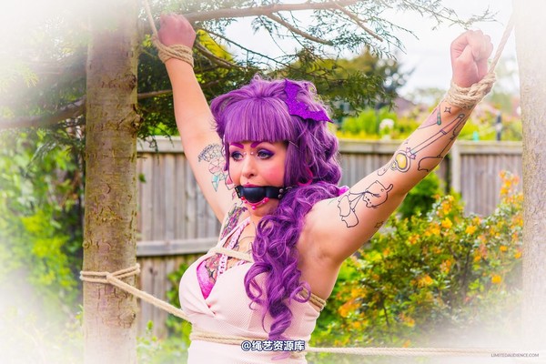 limitedaudience - 2015 kittysocks between trees 第 13 张图片