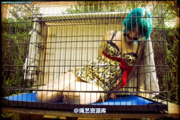 limitedaudience - 2009 b caged animal 第 44 张图片