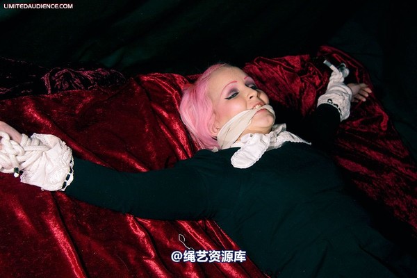limitedaudience - 2009 assisted suicide internet date 第 55 张图片