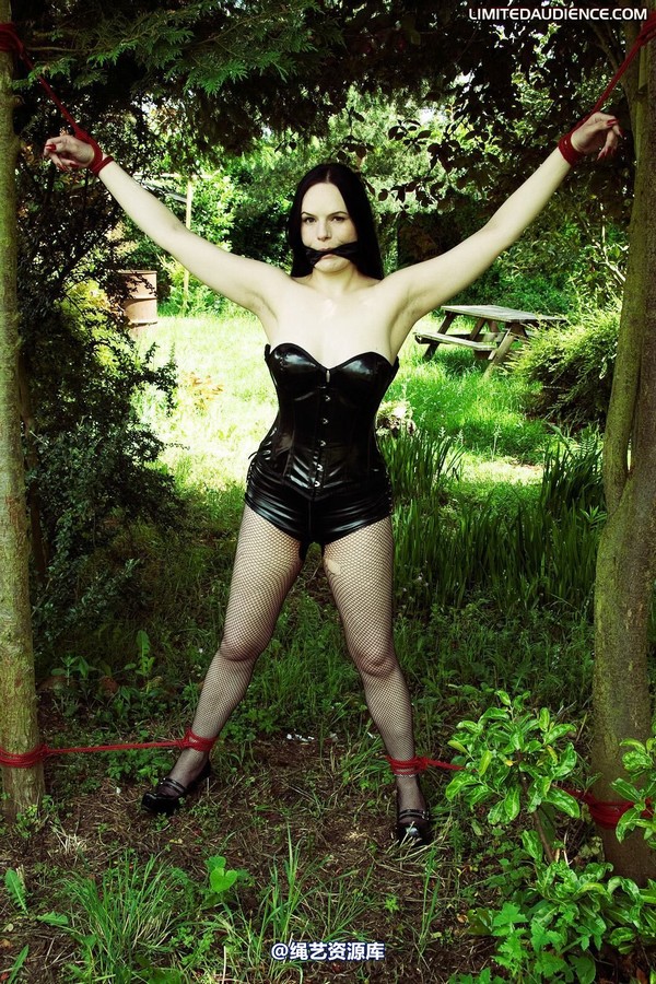 limitedaudience - 2010 rebekka raynor spread between trees 第 1 张图片