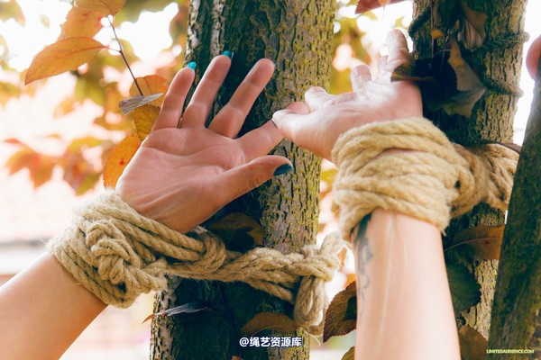 limitedaudience - 2015 kimmy louise up against a tree 2 第 24 张图片