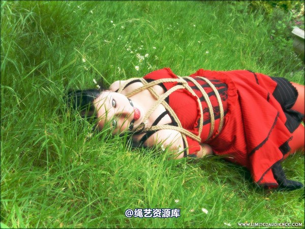 limitedaudience - 2007 asphyxia tied in red 第 46 张图片