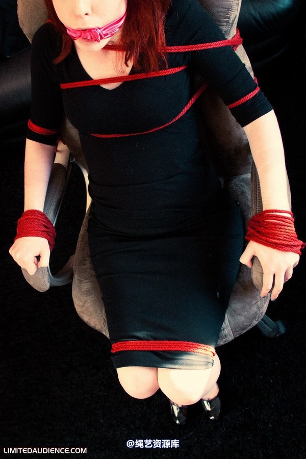 limitedaudience - 2011 lex eleven chairbound secretary 2 第 14 张图片