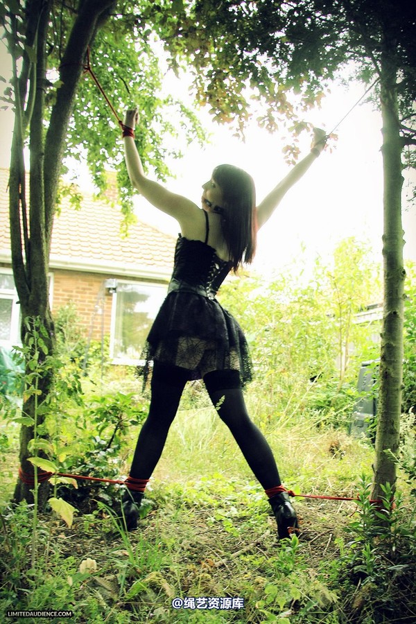 limitedaudience - 2013 syrah lee helpless outdoors 2 第 20 张图片