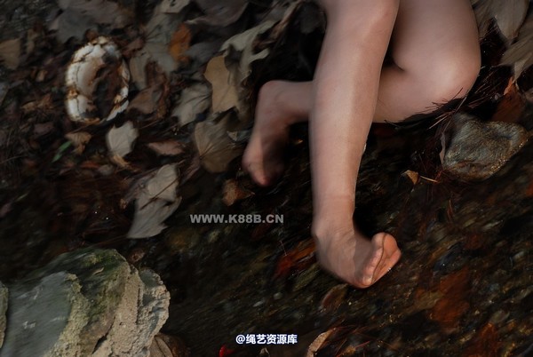 千丝万缕 - 20081110 第 69 张图片