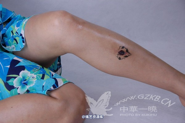 中华一晓 - 中华一晓 NO.0041 第 263 张图片