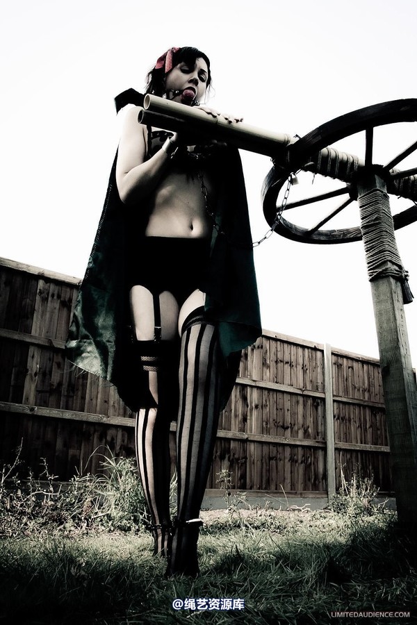 limitedaudience - 2012 dominick destruction escape and punishment 第 18 张图片