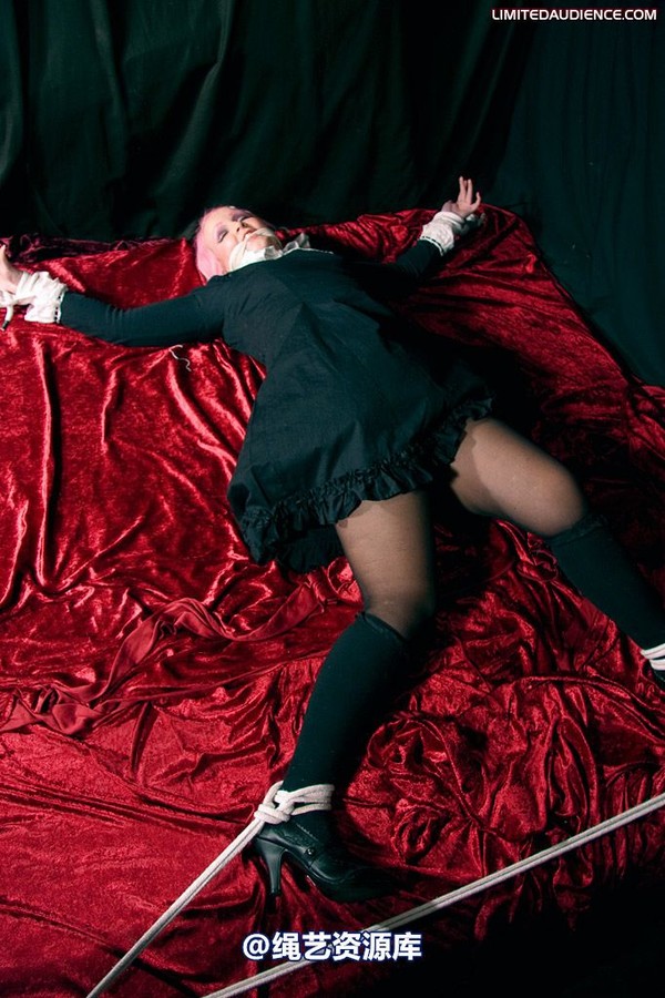 limitedaudience - 2009 assisted suicide internet date 第 35 张图片