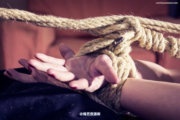 limitedaudience - 2013 assisted suicide hogtie centre piece 2 第 21 张图片