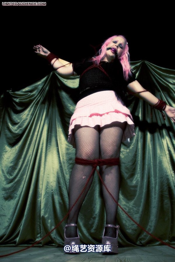 limitedaudience - 2009 assisted suicide profoundly entangled 2 第 8 张图片