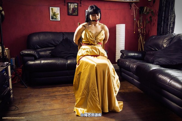 limitedaudience - 2013 dynamo golden satin 2 第 12 张图片