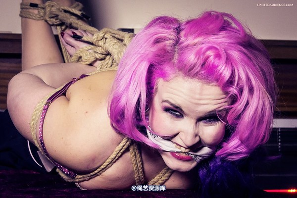 limitedaudience - 2013 assisted suicide hogtie centre piece 2 第 29 张图片